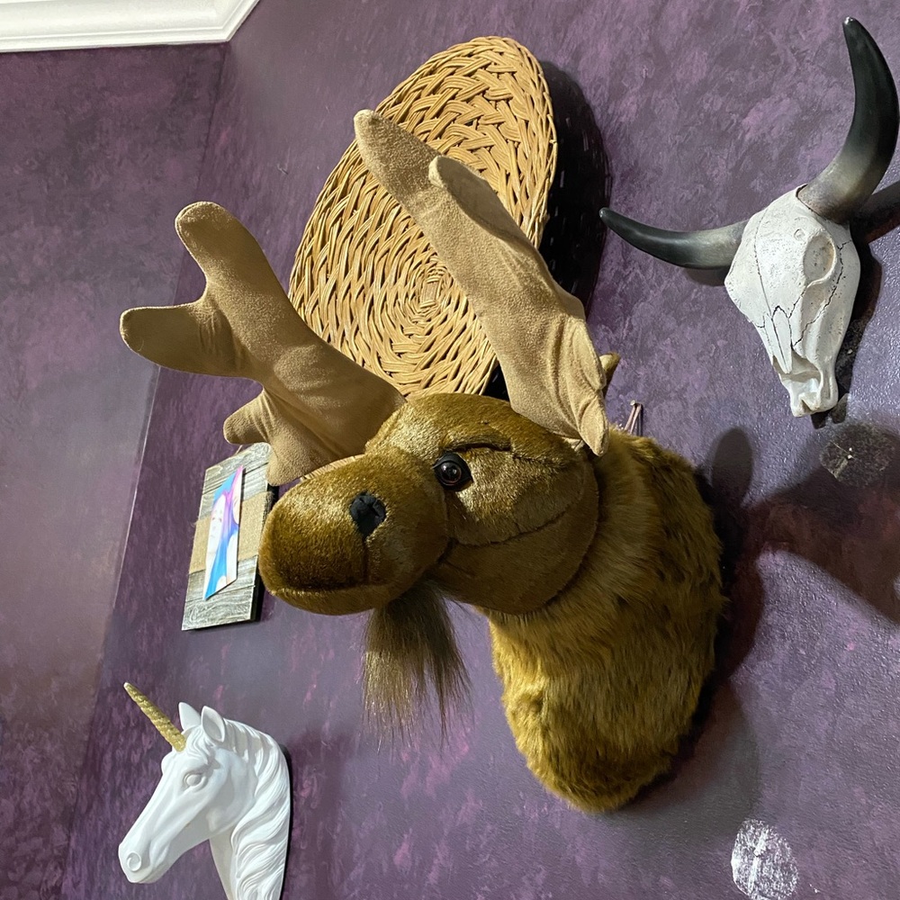 Ditz designs by the Hen House moose head wall mount